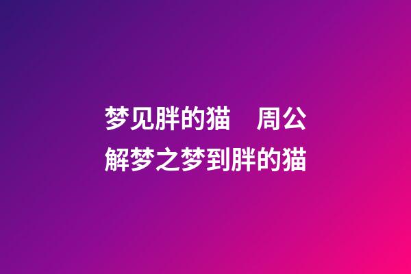 梦见胖的猫　周公解梦之梦到胖的猫